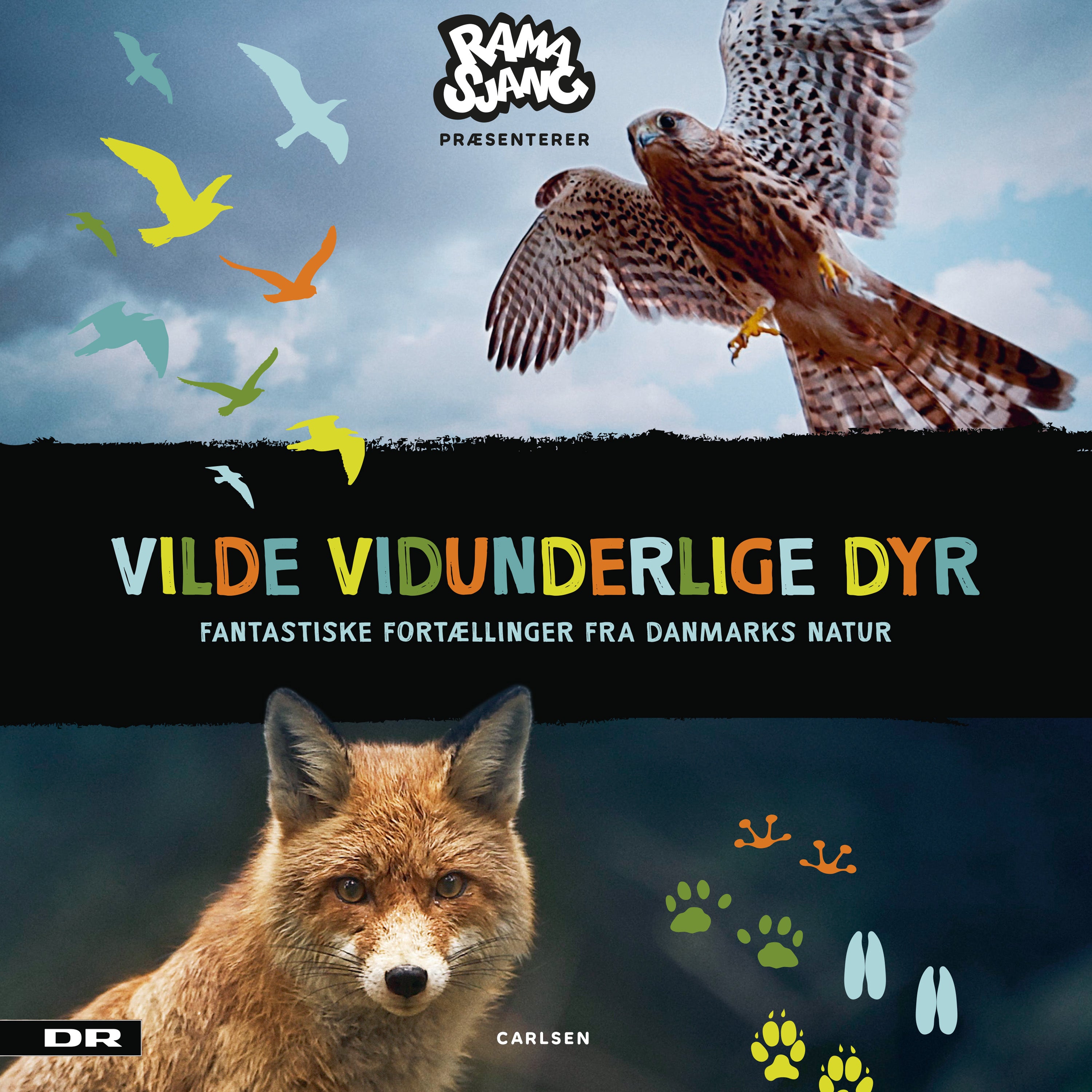 Forside billede